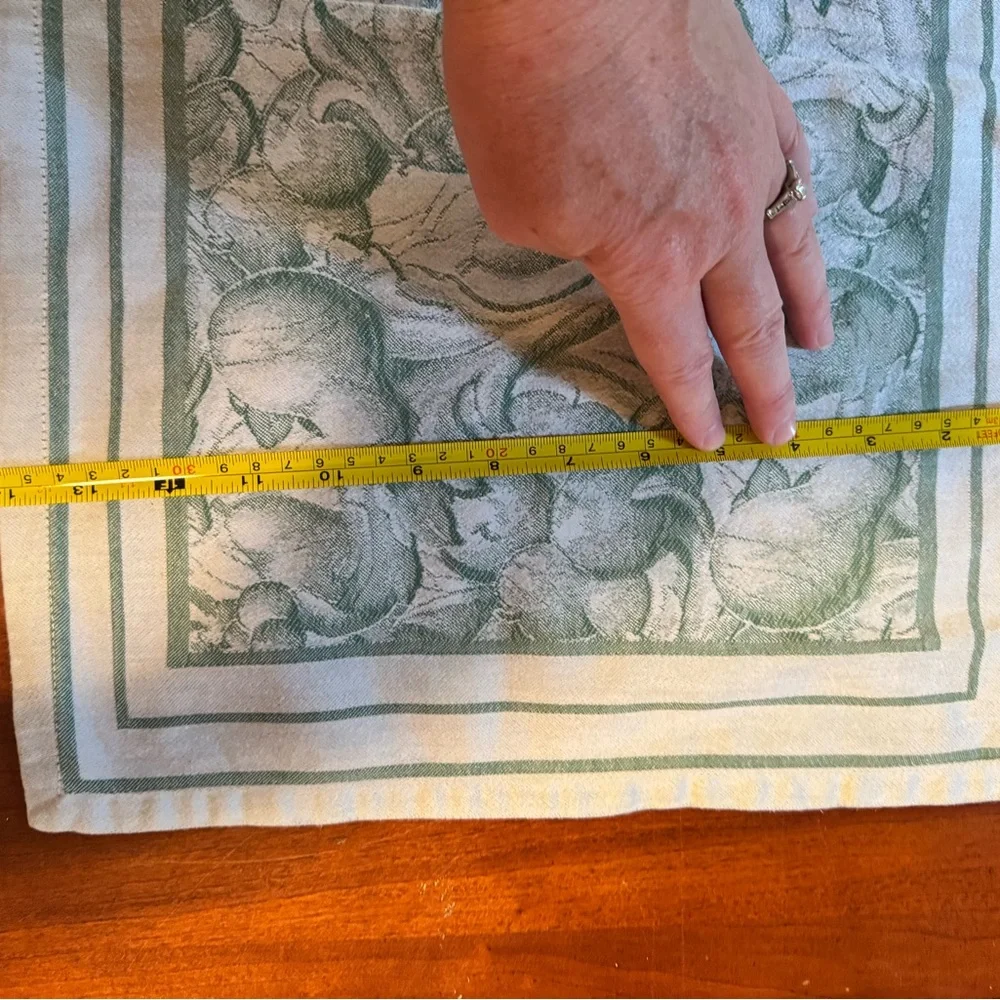 Williams Sonoma Green and Cream Cotton Placemats